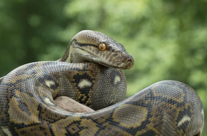 Preguntas frecuentes al empezar a aprender Python